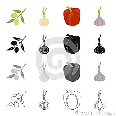 Salad, vegetarian, food and other web icon in cartoon style. Vegetables, seasoning, vitamins icons in set collection. Vector Illustration