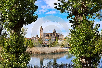 Salamanca skyline with Tormes river Spain Stock Photo