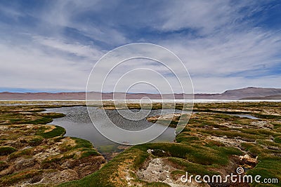 Salar de Pujsa atacama desert chile green water blue sky Stock Photo