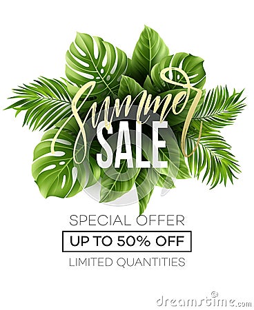 Sale banner, poster with palm leaves, jungle leaf and handwriting lettering. Floral tropical summer background. Vector Vector Illustration