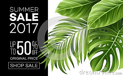 Sale banner, poster with palm leaves, jungle leaf and handwriting lettering. Floral tropical summer background. Vector Vector Illustration