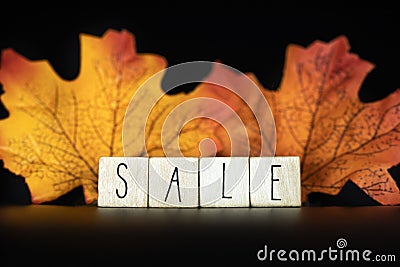 Sale and Blackfriday concept text with autumn discount sale,Seasonal Offer on black background with colorful autumn leafs Stock Photo