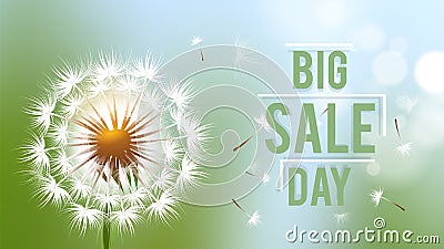 Sale day banner. Season discount flyer with realistic dandelion flower and flying fluffy seeds vector background Vector Illustration