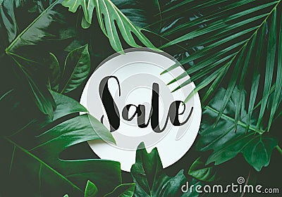 Sale text with real leaves tropical jungle background. Stock Photo