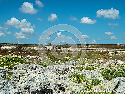Salento countryside near Otranto, Italy Stock Photo
