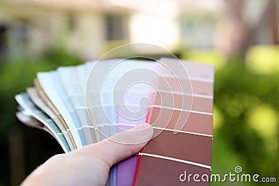 Sales agent choosing color samples for design project. Stock Photo