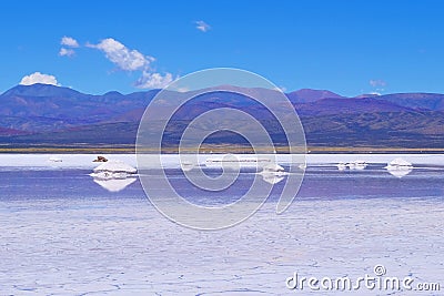 Salinas Salitral Grandes, great salt lake desert, near Susques, Jujuy Province, Argentina Stock Photo