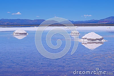 Salinas Salitral Grandes, great salt lake desert, near Susques, Jujuy Province, Argentina Stock Photo