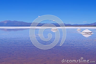 Salinas Salitral Grandes, great salt lake desert, near Susques, Jujuy Province, Argentina Stock Photo