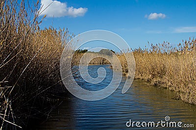 Saline channels Stock Photo