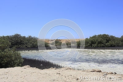 Saline lake, Ras Mohamed Nature Reserve, Qesm Sharm Ash Sheikh, Egypt Stock Photo