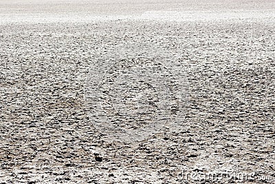 Saline soil of a fully dried lagoon Stock Photo