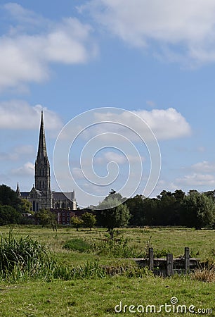 Salisbury Cathedral from Water Meadows, Wiltshire, England Stock Photo