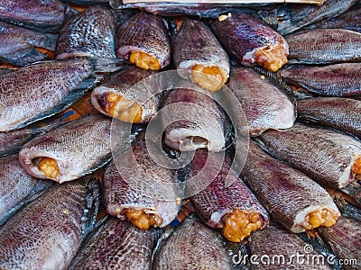 Salit fish on a plate Stock Photo