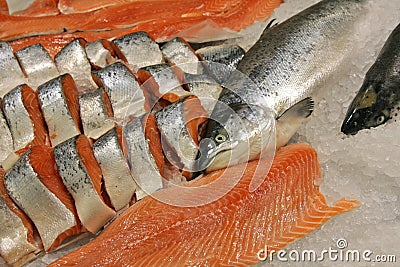 Salmon Stock Photo