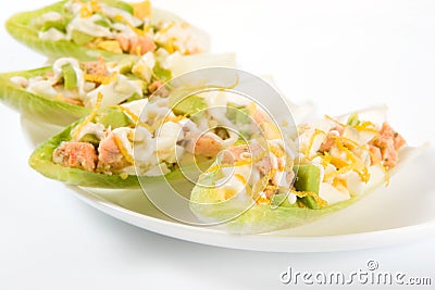 Salmon and avocado salad in chicory leaves Stock Photo