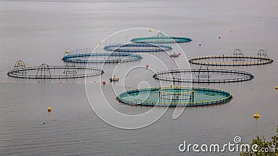 salmon farm in Norway Stock Photo