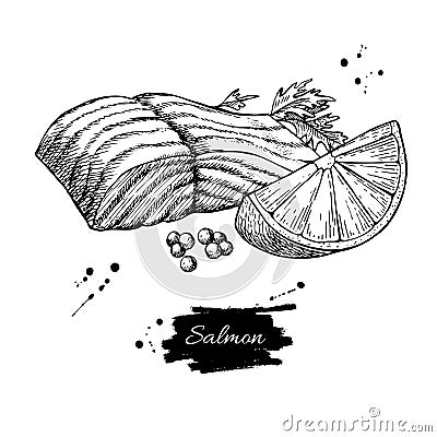 Salmon fillet hand drawn vector illustration. Engraved style vintage seafood. Vector Illustration