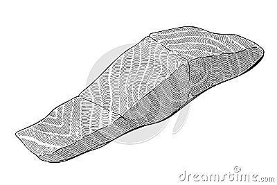 Salmon fillet illustration, north atlantic fish fillet, omega-3 source, healthy seafood, hand drawn art in engraving Vector Illustration