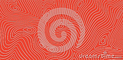 Salmon fillet texture, fish pattern. Vector background with stripes salmon Vector Illustration