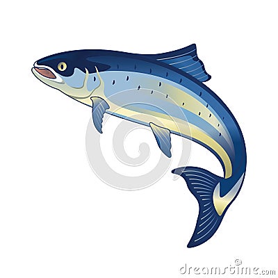 Salmon fish vector illustration Vector Illustration