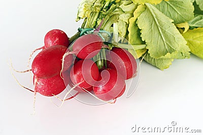 Salmon Radishes Stock Photo