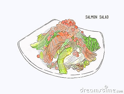 Salmon salad ,hand drawn water color sketch vector. Vector Illustration