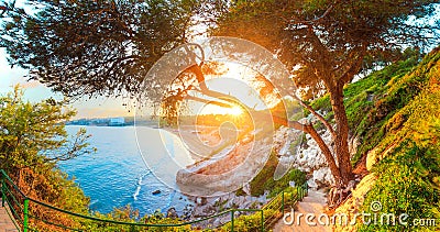 Salou. Spain. Sunny seascape. Green trees and grass on Costa Dorada coast line. Stock Photo