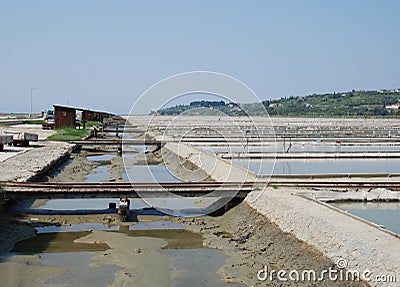 Salt Crystallization Field, Seca, Slovenia Stock Photo