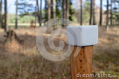 A salt cube prepared for forest animals. Lick in the forest near Stock Photo