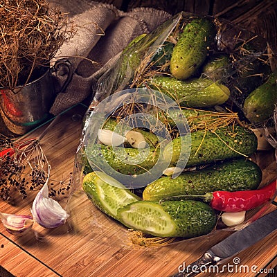 Salt cucumbers briefly stored Stock Photo