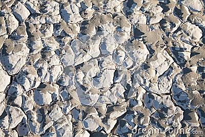 Salt desert background Stock Photo