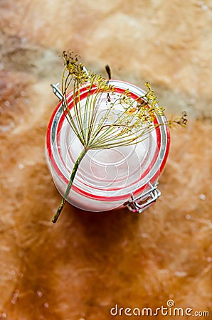 Salt and dill flowers Stock Photo