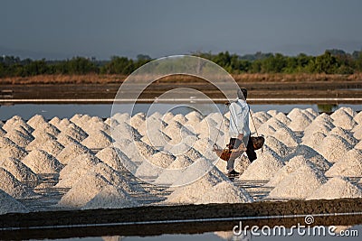 Salt farmers carry salt into the shed Stock Photo