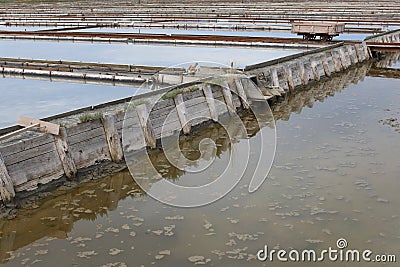 Salt flats pools and levees with brine Stock Photo