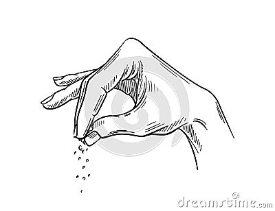 Salt hand drawn sketch vector Vector Illustration