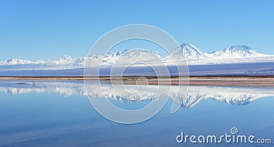 Salt lake in the Atacama desert Stock Photo