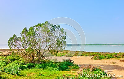 Salt Lake in Larnaka Stock Photo