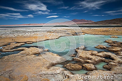 Salt lake Salar de Tara, Chile Stock Photo