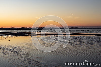 Salt Lake at sunset. A path in the water that leads to the bird`s habitat. Stock Photo