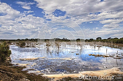 Salt Lakes Stock Photo