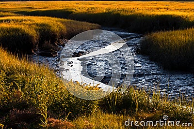 Salt marsh Stock Photo