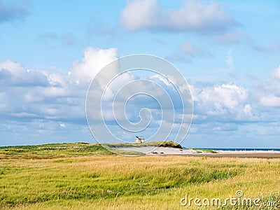 Salt marshes and dunes with sand couch and marram grass in nature reserve Boschplaat on Frisian island Terschelling, Netherlands Stock Photo