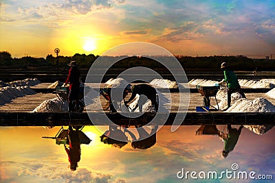 Salt pile in the salt pan in the rural areas at sunrise Editorial Stock Photo