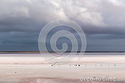 Salt pink lake gray purple high epic clouds on sky Stock Photo