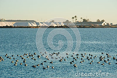 Salt refinery Stock Photo