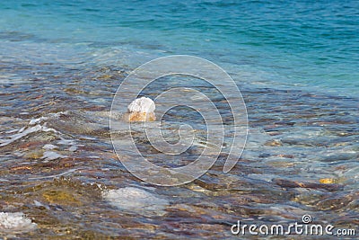 The salt on the stones, the seashore of the Dead Sea in Israel Stock Photo