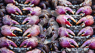 Salted crab at Thai street food market Stock Photo