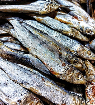 Salted and dried small Dussumieria acuta fish. This fish is very salty to the inside Stock Photo