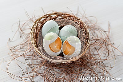 salted duck eggs top view in rattan wicker container set in pine branches Stock Photo